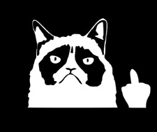 Grumpy cat angry for sale  Apache Junction