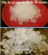 Kefir fruit 10g d'occasion  Villeneuve-d'Ascq-
