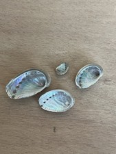 Coquille ormeau abalone d'occasion  Lyon VI
