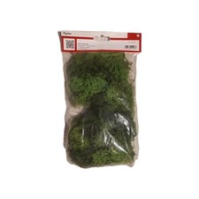 Mousse islande vert d'occasion  Blangy-sur-Bresle