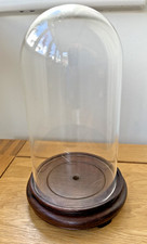 Perspex display cloche for sale  OTTERY ST. MARY
