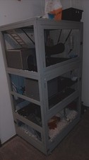 Male rats cage for sale  Norman