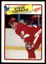 1988 pee chee for sale  Saginaw
