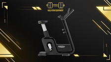 Technogym bike artis usato  Pordenone