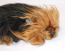 Precious pets puppy for sale  Pittston