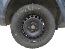 Golf plus 195 gebraucht kaufen  Borgentreich