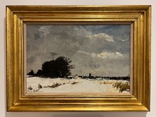 Roy petley snow for sale  DEREHAM