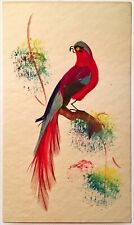 Postcard exotic bird for sale  Aliso Viejo