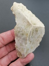 Mid paleolithic neanderthal d'occasion  Bonneville