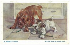Friendly tussle mabel for sale  LIPHOOK