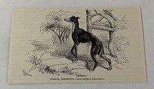 1885 book engraving for sale  Wilmington