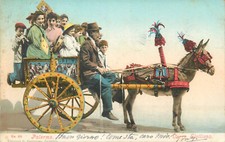 Antiguo medio de transporte Italia Siciliano Burro Carro y Tipos Populares Disfraces segunda mano  Embacar hacia Mexico