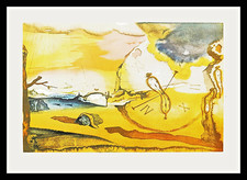 Salvador dali litografia usato  Lendinara