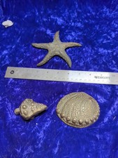 Vintage nautical brass for sale  Santa Rosa