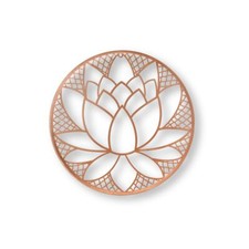 Art home lotus for sale  UK