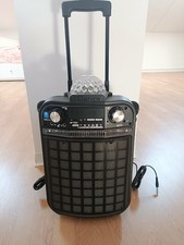 Karaoke con microfoni usato  Cepagatti