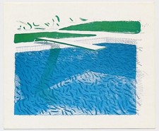 David hockney lithograph for sale  New York