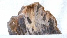 1258 gram mohave for sale  San Tan Valley