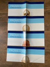 Prometheus lernposter anatomie gebraucht kaufen  Hamburg