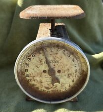 Antiga escala utilitária Hanson 25 lb modelo 1371 cozinha fazenda doméstica primitiva enferrujada comprar usado  Enviando para Brazil