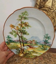 Piatto ceramica maiolica usato  Italia