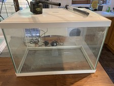 Aquarium tropical fish for sale  SOUTHAMPTON