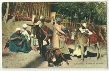 Egitto cairo asini usato  Campobasso
