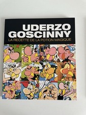 Libro livre asterix usato  Milano