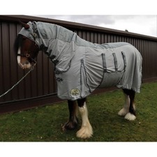 Ruggles heavy horse for sale  DURHAM