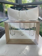Glass vase propagation for sale  Virginia Beach