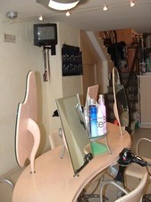Tavolo professionale posti usato  Termoli