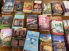 Cozy mysteries annie for sale  Maryville