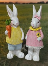 Easter bunny rabbits for sale  Lewellen