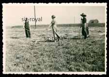 Feldarbeit landwirtschaft 1930 gebraucht kaufen  Deutschland