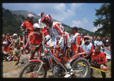 World trial championship usato  Milano