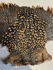 feather cape for sale feather cape for sale AYR
