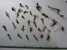Kleine messing figuren gebraucht kaufen  Bendestorf