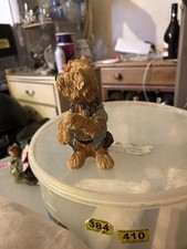 Unmarked yorkshire terrier for sale  POOLE