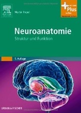 Neuroanatomie struktur funktio gebraucht kaufen  Berlin