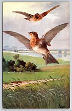 Two birds flying for sale  Richmond