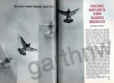 Pigeon racing 1965 for sale  Eugene