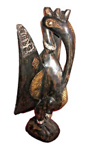 hornbill for sale hornbill for sale SLEAFORD