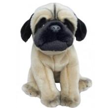 pug adorable puppies for sale pug adorable puppies for sale  SITTINGBOURNE