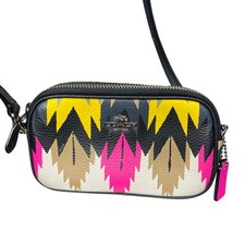 Coach hawk feathers for sale  Joplin