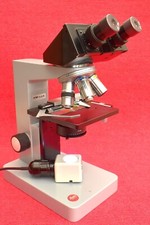 Leitz lux mikroskop gebraucht kaufen  Kiel