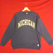 Michigan tm. american usato  Villanova Solaro