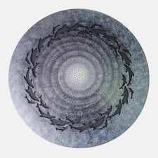 Raindisk delfin soundbath gebraucht kaufen  Hamburg