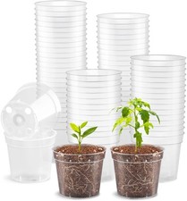2.5 clear seeding for sale  New York