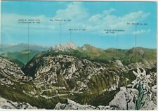 Timau strada monte usato  Polcenigo