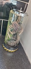 Alien facehugger jar for sale  COALVILLE